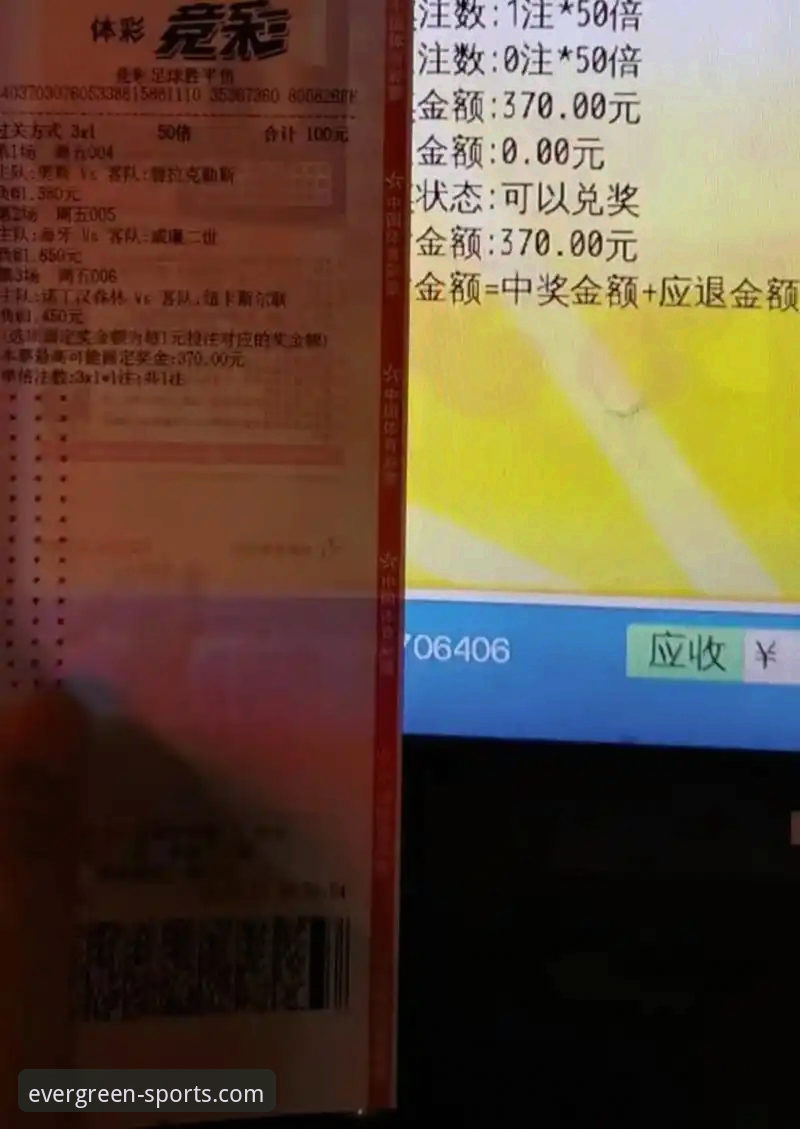 资深用户分享：体育竞彩数据分析的实战心得与四季平台使用经验
