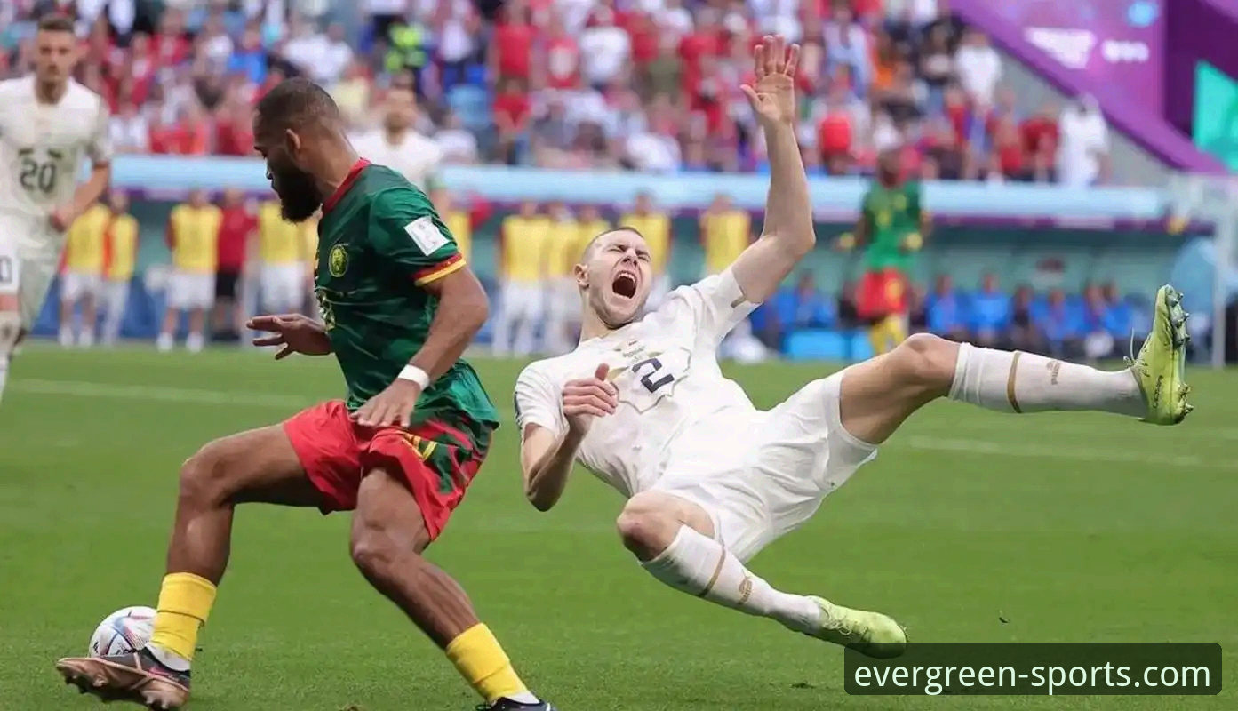 如何通过四季体育平台，深入理解意大利队连续三届无缘世界杯的遗憾？